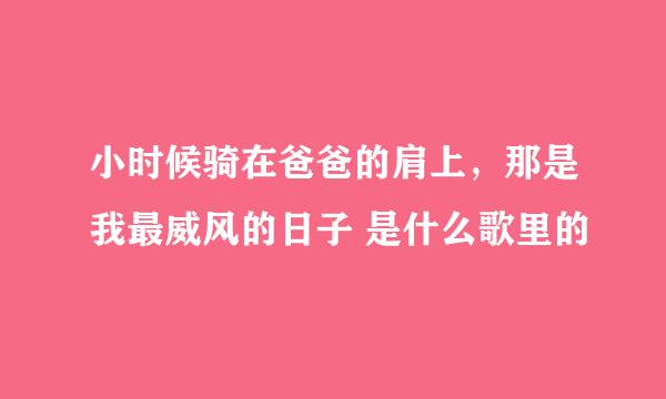 小时候骑在爸爸的肩上，那是我最威风的日子 是什么歌里的