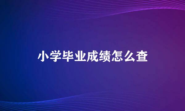小学毕业成绩怎么查