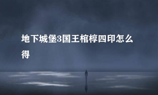 地下城堡3国王棺椁四印怎么得