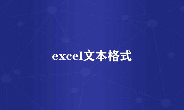 excel文本格式