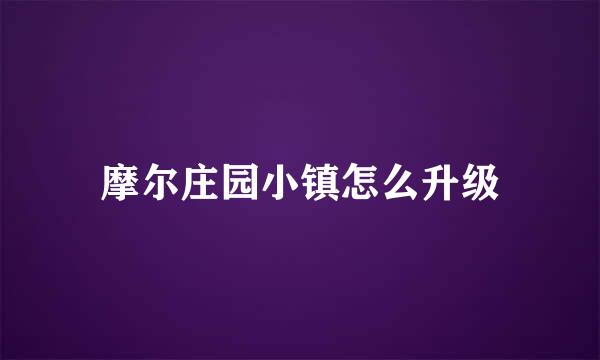 摩尔庄园小镇怎么升级