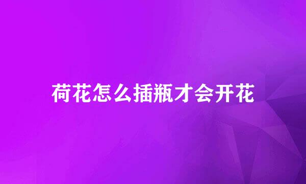 荷花怎么插瓶才会开花