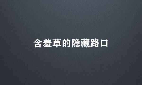 含羞草的隐藏路口