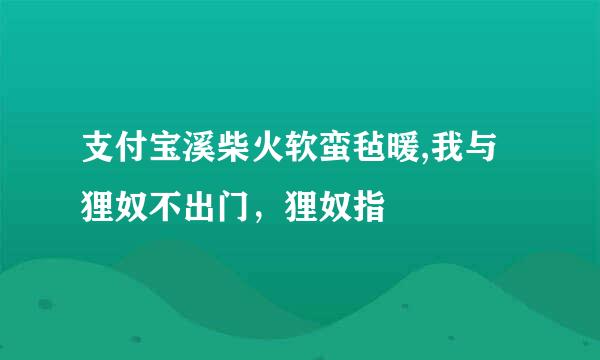 支付宝溪柴火软蛮毡暖,我与狸奴不出门，狸奴指