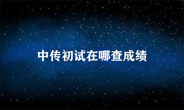 中传初试在哪查成绩