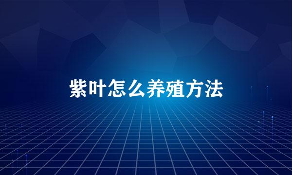 紫叶怎么养殖方法