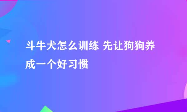 斗牛犬怎么训练 先让狗狗养成一个好习惯