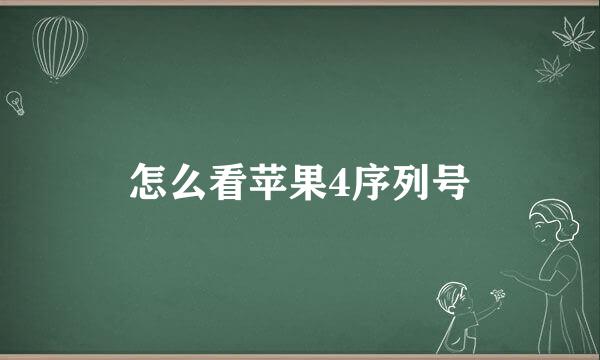 怎么看苹果4序列号