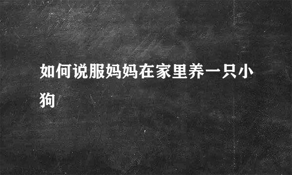 如何说服妈妈在家里养一只小狗