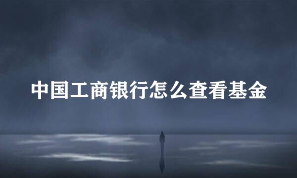 中国工商银行怎么查看基金