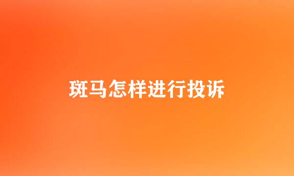 斑马怎样进行投诉