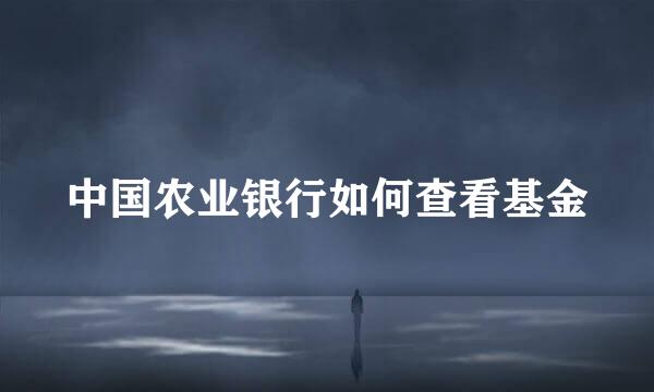 中国农业银行如何查看基金
