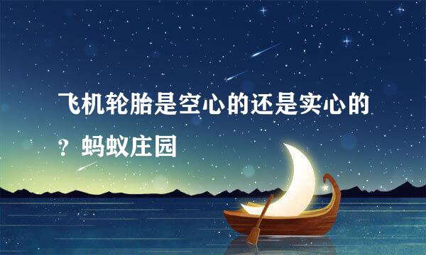 飞机轮胎是空心的还是实心的？蚂蚁庄园