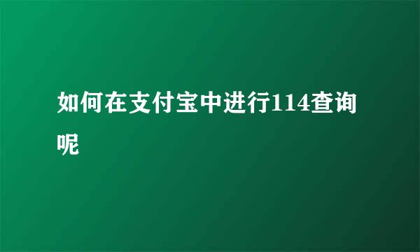 如何在支付宝中进行114查询呢