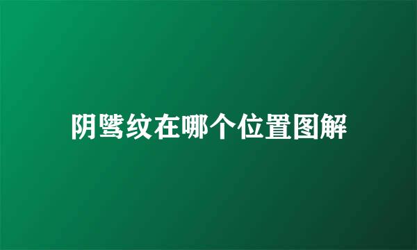 阴骘纹在哪个位置图解