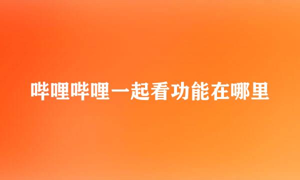 哔哩哔哩一起看功能在哪里