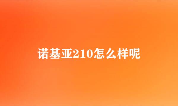 诺基亚210怎么样呢