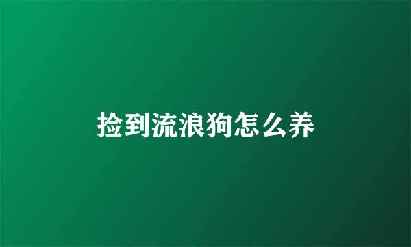 捡到流浪狗怎么养