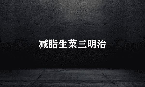 减脂生菜三明治