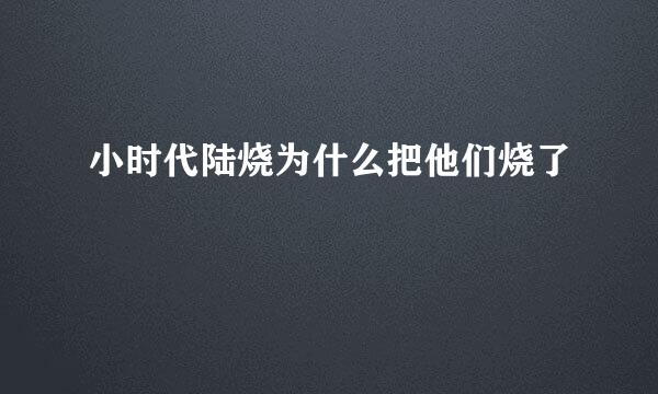 小时代陆烧为什么把他们烧了