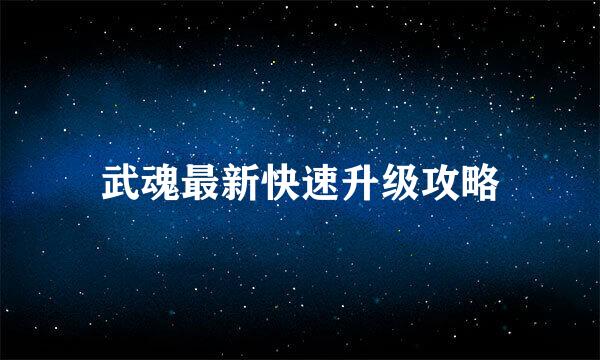武魂最新快速升级攻略