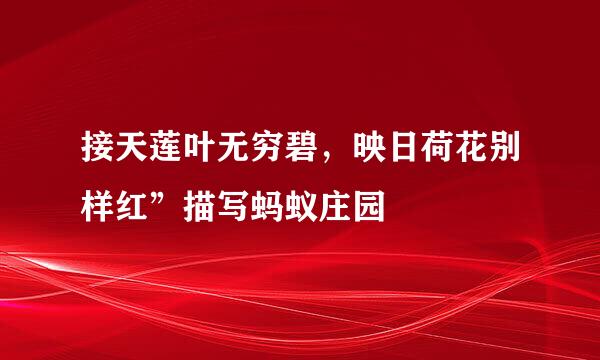 接天莲叶无穷碧，映日荷花别样红”描写蚂蚁庄园