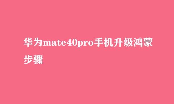 华为mate40pro手机升级鸿蒙步骤