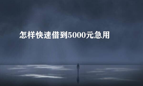 怎样快速借到5000元急用