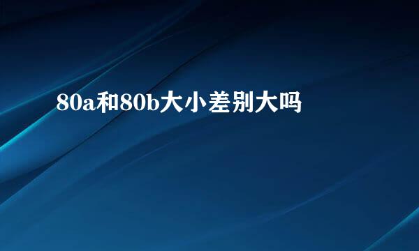 80a和80b大小差别大吗