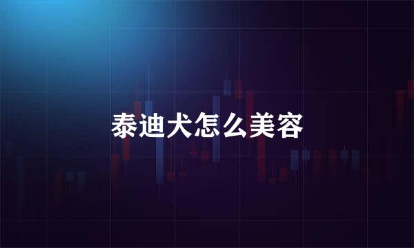 泰迪犬怎么美容