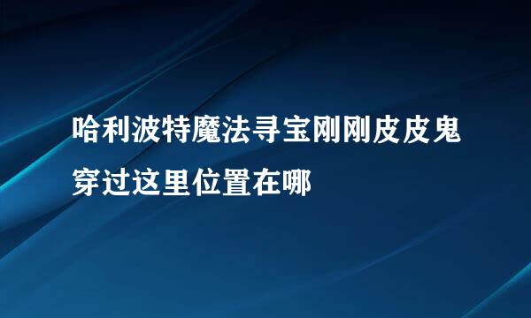 哈利波特魔法寻宝刚刚皮皮鬼穿过这里位置在哪