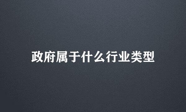 政府属于什么行业类型