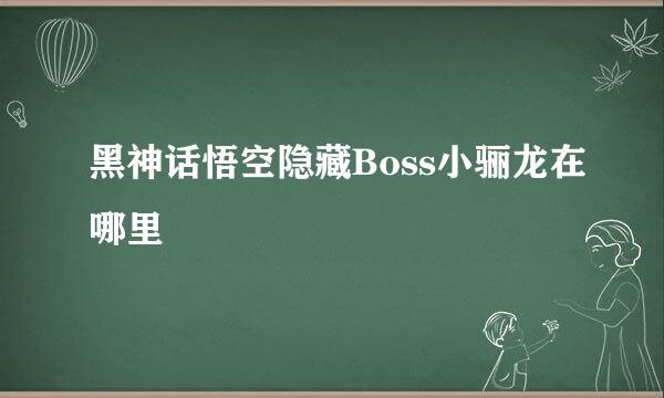 黑神话悟空隐藏Boss小骊龙在哪里