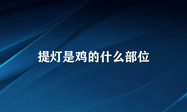 提灯是鸡的什么部位