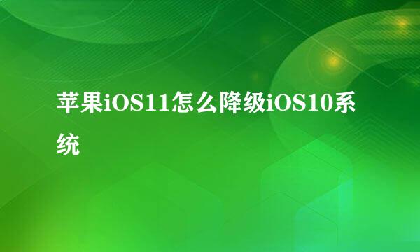苹果iOS11怎么降级iOS10系统