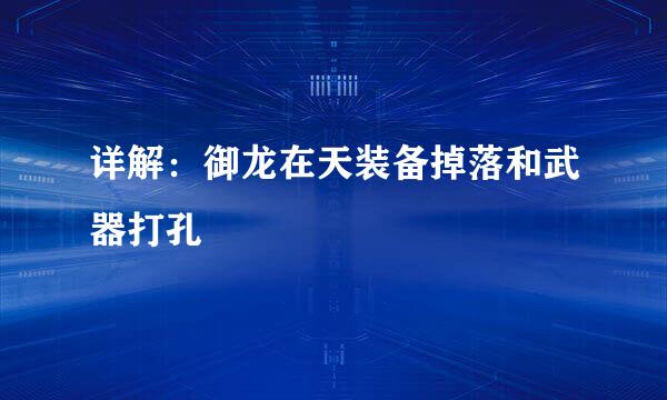 详解：御龙在天装备掉落和武器打孔