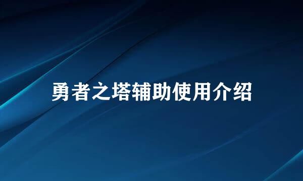 勇者之塔辅助使用介绍