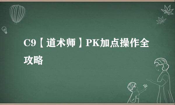 C9【道术师】PK加点操作全攻略