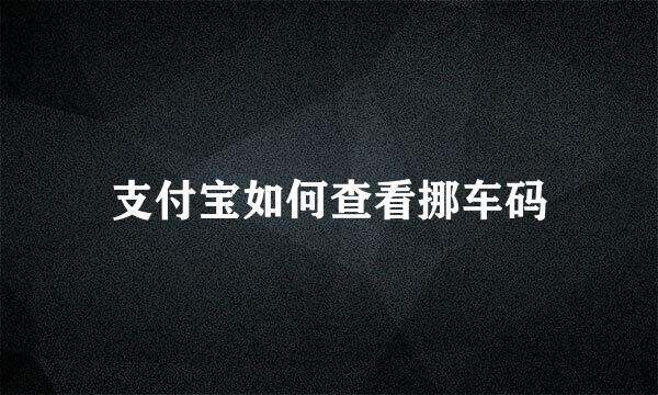 支付宝如何查看挪车码
