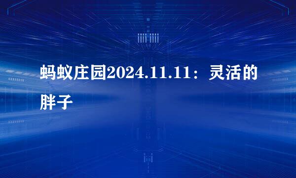 蚂蚁庄园2024.11.11：灵活的胖子