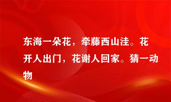 东海一朵花，牵藤西山洼。花开人出门，花谢人回家。猜一动物