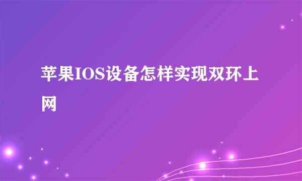 苹果IOS设备怎样实现双环上网