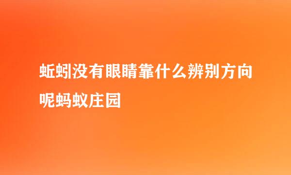 蚯蚓没有眼睛靠什么辨别方向呢蚂蚁庄园