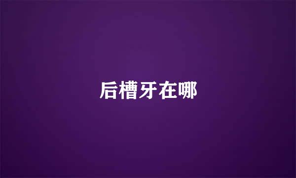 后槽牙在哪
