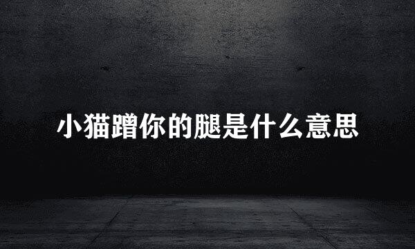 小猫蹭你的腿是什么意思