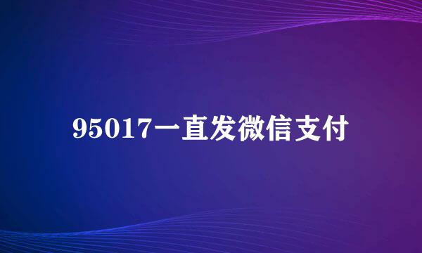 95017一直发微信支付