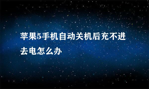 苹果5手机自动关机后充不进去电怎么办