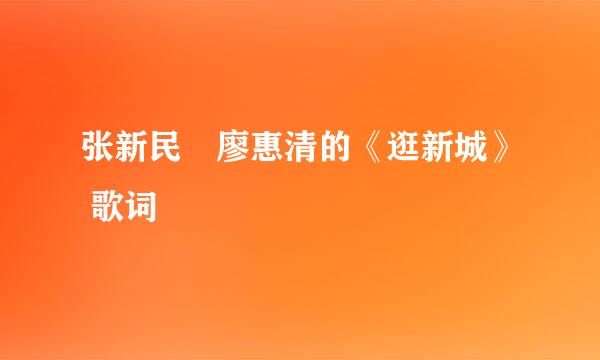 张新民　廖惠清的《逛新城》 歌词