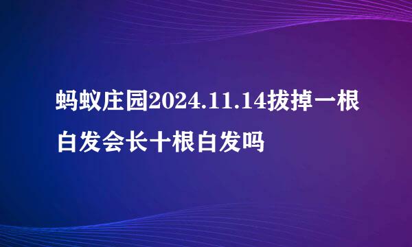 蚂蚁庄园2024.11.14拔掉一根白发会长十根白发吗