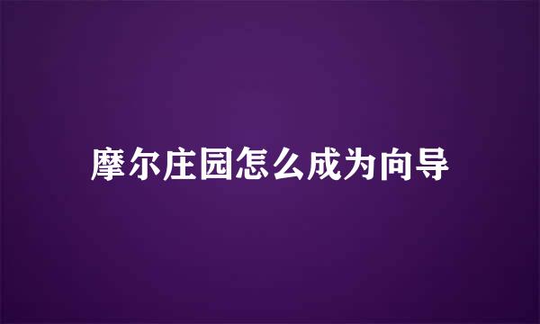 摩尔庄园怎么成为向导